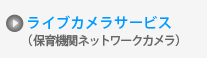 保育園ライブカメラ